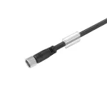 SAIL-M8BG-5-5.0U Kabel czujnikowy, nr.katalogowy 2466650500
