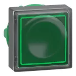 Harmony XB5 Napęd przycisku płaskiego kwadratowy zielony z samoczynnym powrotem LED plastikowy