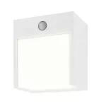 7479 Zewnętrzna Lampa ścienna Balimo LED 12W 230V, 50Hz 4000K 560lm IP44 naturalna biel
