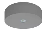 Oprawa AXN IP65 ECO LED 1W 125lm (opt. univesal) 1h jednozadaniowa szara
