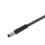 SAIL-M5G-3P-3.0U Kabel czujnikowy, nr.katalogowy 1854060300