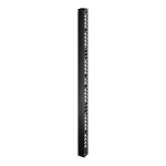 Pionowy organizer kabli Easy Rack, 42U
