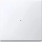 KNX klawisz do 1-kr. modułu przyciskowego biały active System M