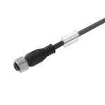 SAIV-M12BG-4-0.5U(-50) Kabel czujnikowy, nr.katalogowy 2528850050