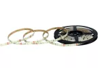 TAŚMA LED NEXTEC EX / 12V / 3528 / 4,8W / 60 LED / IP65 / 3000K +/-100K / 80lm/W / RA>80 / 5m / 8mm