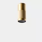 Ceiling fixture Iris Surface Hoop 50º 14W LED warm-white 2700K CRI 92 DALI-2 Gold/Gold/Transparent IP43 1476lm AV17-12V9U3DSO4