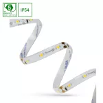 PASEK LED 2835 12V 60LED 4,8W/m 336lm/m NW 8mm IP54 5LAT 5m roll