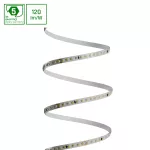 PASEK LED 2835 24V 128LED 10W/m 1200lm/m WW 8mm IP20 5LAT 5m roll