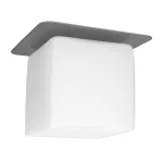 IGLO CTX-30+SQ-C/M Sufitowa oprawa ozdobna