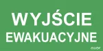 125x250 piktogram 21 wyjście ewakuacyjne logo awex (ISO7010)