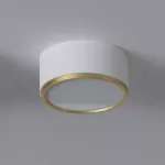KAPS A1/10 stropowy LED 10W/1000lm/3000K, 230V, kolor złota (gładki mat), biały sygnałowy (mat struktura) RAL 9003