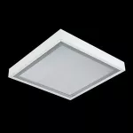 RUBIN CLEAN LED 6500 MICRO-PRM E IP65 840 / 620X620