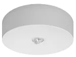 Oprawa AXN IP65 LED 6W 600lm (opt. koryt.) do centralnej baterii biała