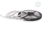 TAŚMA LED NEXTEC 12V / SMD 3528 - 600 LED / IP20 / BIAŁY ZIMNY / PODŁOŻE BIAŁE / ROLKA 5m / 8mm