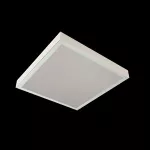 RUBIN CLEAN NO FRAME LED 3900 SHM E IP65 830 / 600X600