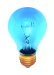 Żarówka światło dzienne do terrariów E27 40W 230V A60 szkło niebieskie 3000h