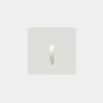 Recessed wall lighting IP66 Bat Square Lineal LED 2.2W LED warm-white 3000K White 10lm 05-E017-14-CL