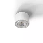 TUZ Z4Sh AR111 stropowy max. 1x60W, G53, 12V/AC, biały sygnałowy (mat struktura) RAL 9003