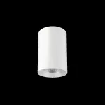 Oprawa INTO R160 LED 200 n/t ED DALI 3550lm/840 63° biały srebrny 30 W