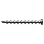 Wkręt uniwersalny pan head Torx 4,8 x 38