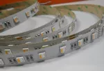 TAŚMA LED NEXTEC EX / 12V / 5050 / 18W / 60 LED 4in1 / IP20 / RGB + 3000K (+/-100K) / 5m / 10mm