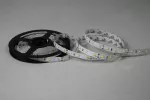 TAŚMA LED NEXTEC ST / 12V / 2835 / 12W / 60 LED / IP20 / 3000K +/-200K / 70lm/W / 5m / 10mm