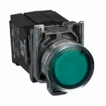 Harmony XB4 Przycisk płaski zielony żarówka BA9s 110/120V transformator metalowy 1NO + 1NC