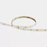 LED strip On Basic 14,4 72W LED warm-white 3000K CRI 80 IP20 9309lm 91-7927-00-00