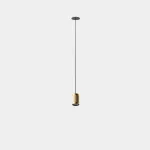 Pendant Iris Trim Hoop 50º 14W LED warm-white 2700K CRI 92 DALI-2 Black/Gold/Transparent IP43 1476lm AV14-12V9U3DSL9