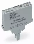 Moduł przekaźnikowy 24 V DC, szary 286-364/004-000