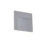 ERINUS LED L GR-NW Oprawa dekoracyjna LED