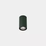 Ceiling fixture IP66 Max Medium LED 6.5W LED warm-white 2700K ON-OFF Fir green 372lm AI22-P6V9F1OSE3