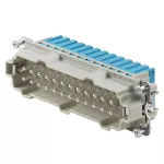 HDC HE 24 MQT BL Wkład do złączy prostokątnych, nr.katalogowy 2535100000