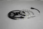 TAŚMA LED NEXTEC ST / 12V / 5630 / 18W / 60 LED / IP20 / 6200K +/-250K / 75lm/W / 5m / 10mm