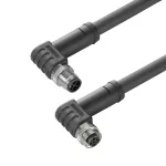 SAIL-M12WM12W-S3-5.0P Kabel czujnikowy, nr.katalogowy 2050150500