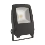 18481; RINDO LED MCOB-30 GM Naświetlacz LED MCOB
