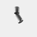Ceiling fixture Iris Surface Hoop 15º 14W LED warm-white 3000K CRI 92 DALI-2 Grey/Grey/Transparent IP43 1399lm AV13-12W9U1DSP7