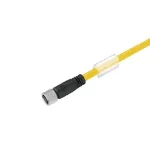 SAIL-M8G-4-5.0UGE Kabel czujnikowy, nr.katalogowy 1422770500