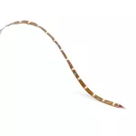 LED strip On Basic 14,4 72W RGB IP20 4755lm 91-2379-00-00