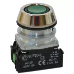 PROMET Przycisk NEF30-UKXY/W3 zielony
