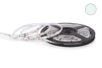 TAŚMA LED NEXTEC 12V / SMD 3528 - 300 LED / IP63 / BIAŁY ZIMNY / PODŁOŻE BIAŁE / ROLKA 5m / 8mm