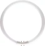 MASTER TL5 Circular 22W/830 1CT/10 Świetlówka kołowa