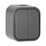 Łącznik n/t świecznikowy B2, 10A, 250V, IP54, WNT-2B2, szary