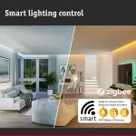 PAULMANN Oprawa do wbudowania NOVA PLUS COIN LED RGBW SH Zigbee wychylna zestaw 3x5.2W 400lm 84mm 2700-6500K IP23 230V szczotkowane żelazo