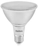 Żarówka RL-PAR38 120 DIM 927/30°/E27