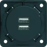 Integro Gniazdo USB ładowania podwójne, 230V, 3A; antracyt, mat