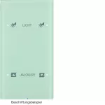 R.3 Sensor dotykowy 2-krotny konfigurowalny, szkło, biały