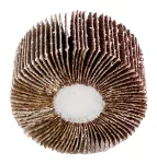 Ściernica listkowa trzpieniowa 80 x 30 x 6 mm, P60