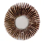 Ściernica listkowa trzpieniowa 30 x 15 x 6 mm, P60