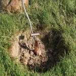 Złącze ścinane nVent ERICO z wpustem, brąz, zakres kabli 6–6